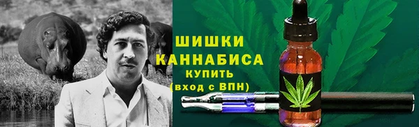 молекула духа Лихославль