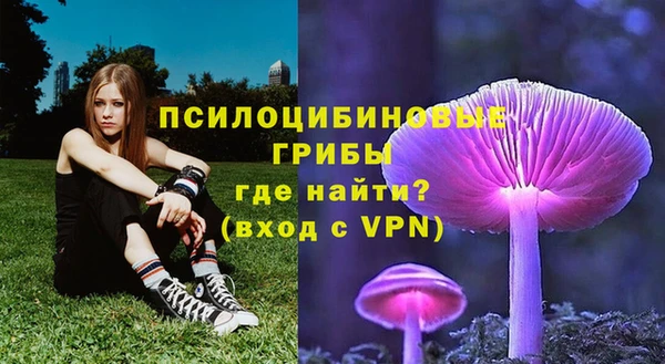 молекула духа Лихославль