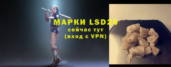 винт Липки