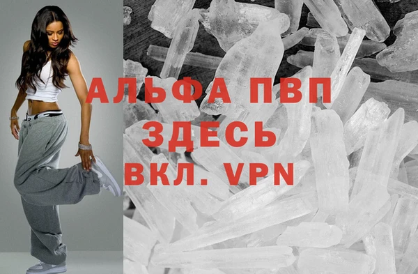молекула духа Лихославль