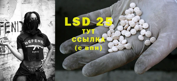 винт Липки
