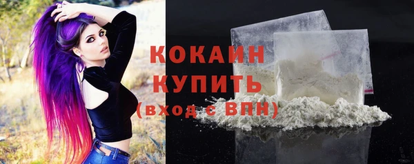 винт Липки