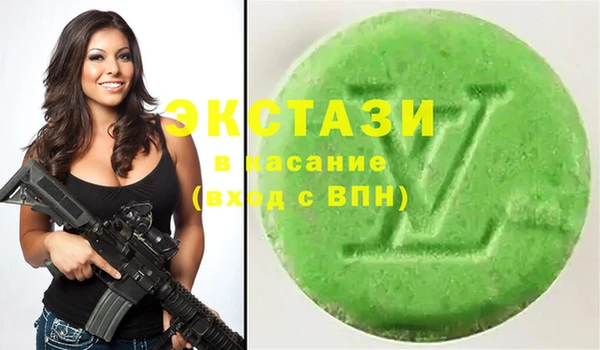 хмурый Магас