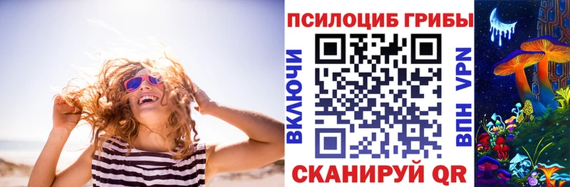 Псилоцибиновые грибы Psilocybe Михайлов